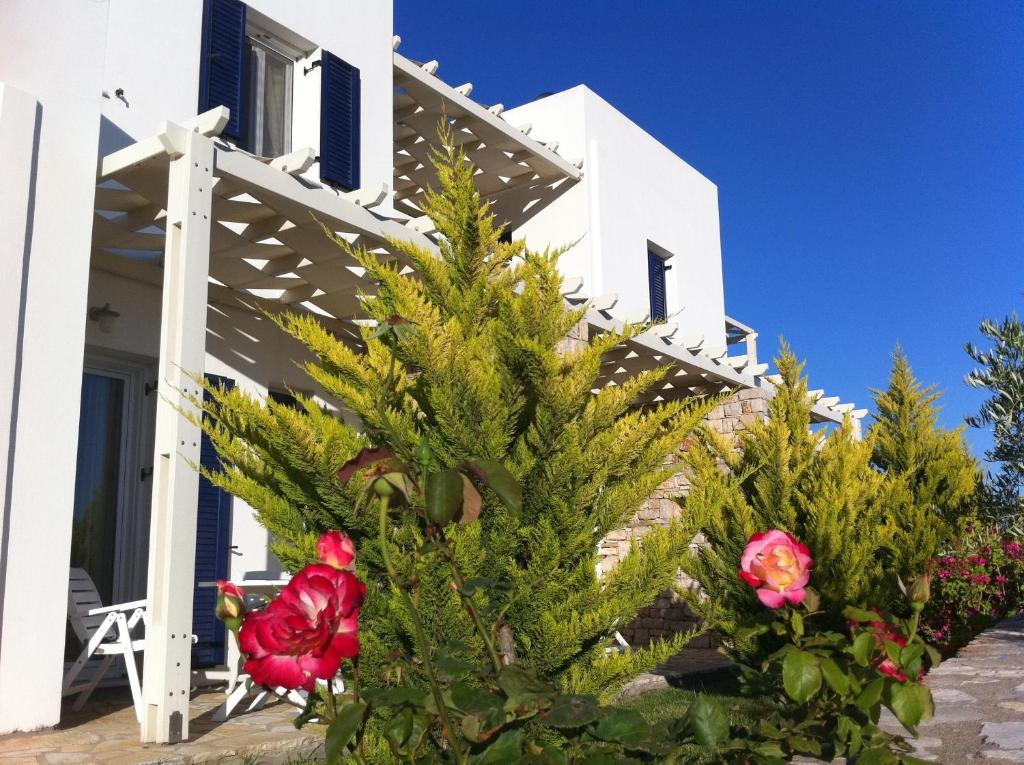 Elea Apartments Kalamos  ห้อง รูปภาพ